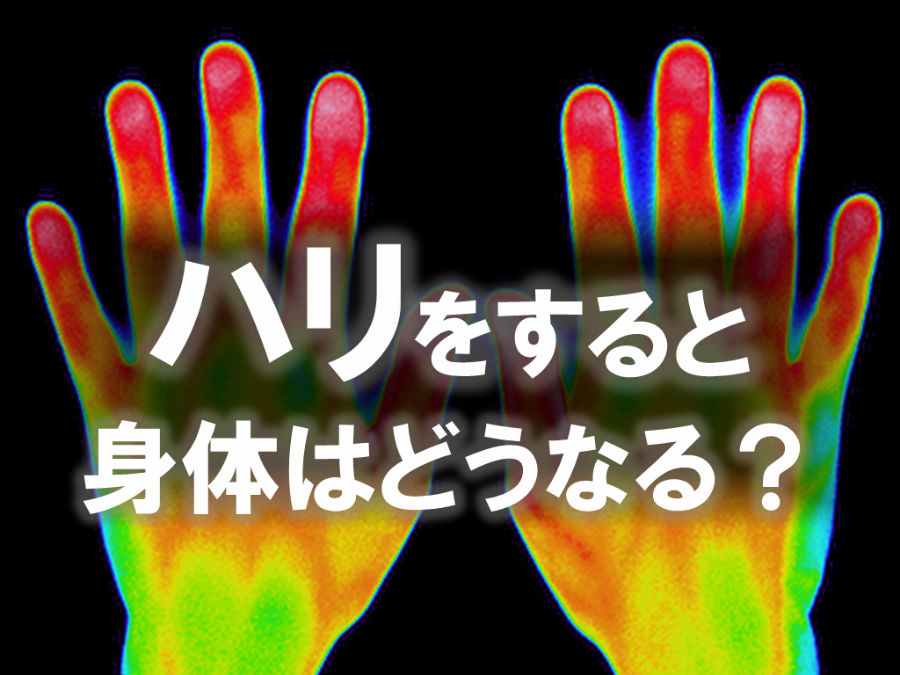 サイエンスアゴラ2017 ハリをすると身体はどうなる?