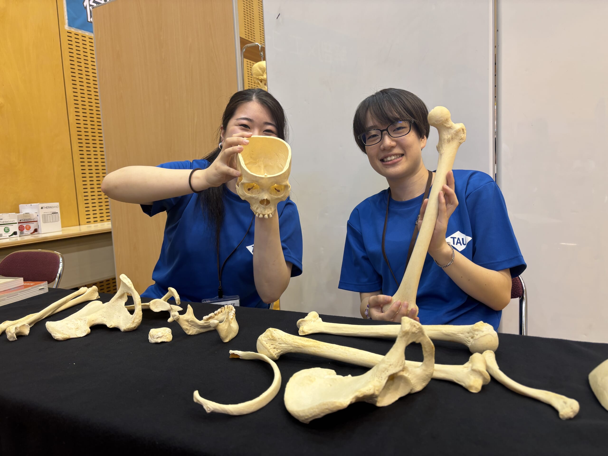 柔道整復学科ブースの様子